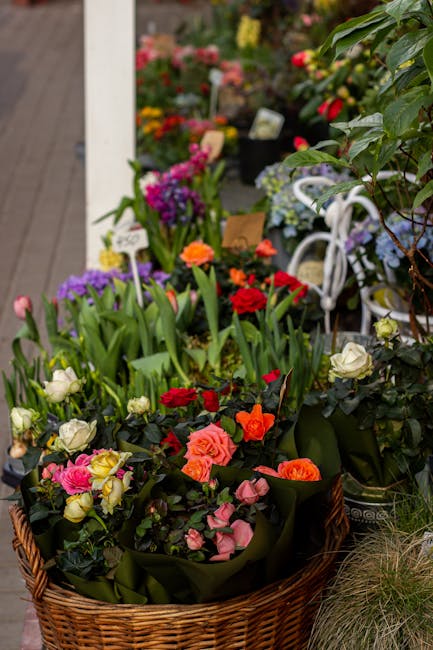 A wicker basket filled with an assortment of fresh flowers including pink, red, and orange roses, white blooms, and purple irises, lined with dark green foliage. The arrangement is lush and vibrant, p