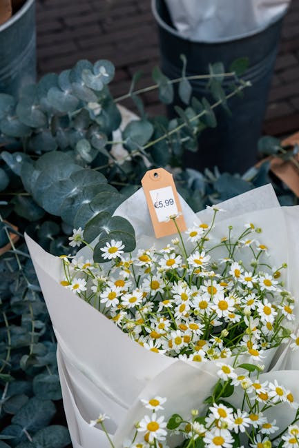 https://westkensingtonflorist.co.uk/blog/price-comparison-for-flowers-near-barons-court-station/